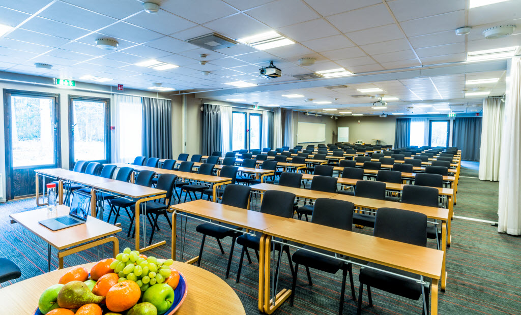 Foto: Photo Karl Gabor Meeting room Plenisalen